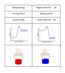 Here are a few among the most played cool classroom activities for students of diverse class levels Endothermic And Exothermic Activities Worksheets Tpt
