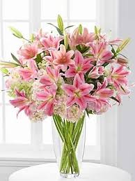 Blushing Beauty Lily Hydrangea Bouquet Uptown Florists Luxury Bouquet Plant Gifts Flower Arrangements