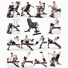 Check spelling or type a new query. Pro Home Fitness Workout Roman Chair Hyperextension Back Extension Bench For Sale Online Ebay