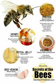 100 Raw Pure Organic Natural Kyrgyzstan White Honey عسل ابيض مجرى قرغيزستان Ebay Bee Keeping Bee Bread Bee Facts