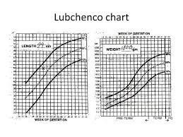 Ppt Preterm Anthropometric Measurements Powerpoint