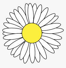 Spring flower graphic flower set cartoon flat spring flower flower illustrations flat spring 10108 cartoon daisy flower clip art. Margarita Vector Daisy Flower Cartoon Hd Png Download Transparent Png Image Pngitem