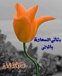 Pin By Sahiha Sham On صباح و مساء الخير Good Morning Happy Friday Words