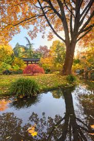 Aktuelle info des betreibers (bayer ag) öffnungszeiten: Bunter Herbst Im Park Jens Sieckmann Fotografie