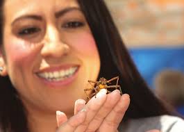 Memorial Proudly Welcomes CerƟfied Nurse Midwife, Evangelia Falkner, MSN,  CNM to our OB/GYN Team m va Mem Ev