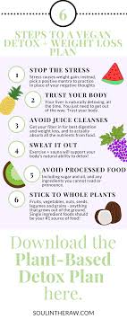 Pin On Going Vegan For Beginners