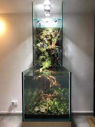 Paludarium Aquascape Aquarium Aquarium Design Fish Tank Design