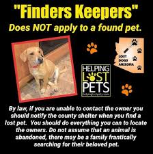 If You Find A Lost Dog Please Do Everything You Can To Find Its Family Do Not Assume That An Animal Is Abandoned There May Be A Family Frantically Searching Con