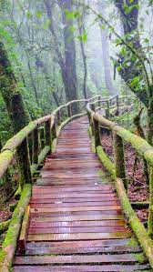 12 Best Nature Iphone Xs Wallpapers Beautiful Nature Wallpaper Landscape Wallpaper Nature Wallpaper