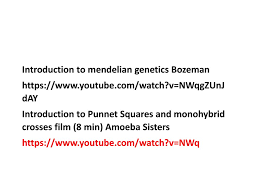 Amoeba sisters monohybrid crosses video recap.pdf. Unit 4 Genetics Ppt Download