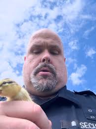🚨DUCKLING RESCUE AT NORMAN REGIONAL HOSPITAL! 🐣 When Chief Medical  Officer and anesthesiologist Joe Voto, MD, noticed a duck erratically  circling a storm drain outside the hospital, he knew something was wrong.