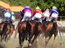 An irish jockey named rob james is facing backlash and professional repercussions after he was seen climbing atop a dead horse in a video from april 2016, the new york post reports. Horse Racing Irish Jockey James Apologises For Climbing On Dead Horse Entertainment