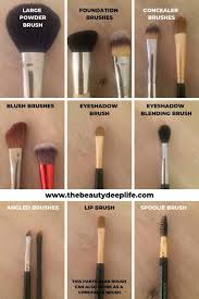 beginner makeup for the everyday woman
