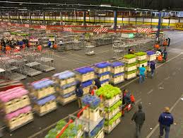 Check spelling or type a new query. Floraholland Aalsmeer The Netherlands Afar