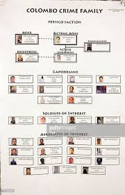 Organized Crime Flow Charts Are Displayed Of The Colombo