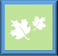 Specializing in lawn mowing, fertilization, weed control. Mn Fall Yard Cleanup Leaf Removal Bloomington Richfield