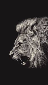 Hd Wallpapers Unique Lion Wallpaper For Iphone Lion Wallpaper Lion Wallpaper Iphone Dark Wallpaper Iphone