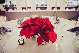 Our Wedding The Details Poinsettia Centerpiece Christmas Party Table Decorations Christmas Party Table
