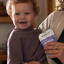 Amazon.com: Sprout Organics, Dairy-Free Smoothie, Berry, Grape, Coconut  Milk, Veggies & Flax Seed, 12+ Month Pouches, 4 oz (12-count) : Baby