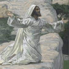 Anyone kneeling down on their knees for long periods of time each day would definitely have callouses on their knees as hard as camel's knees. Resonate Pray Like Old Camel Knees