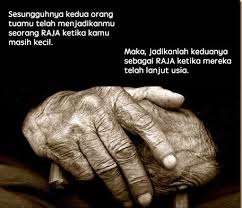 Pin On Islamic Quotes