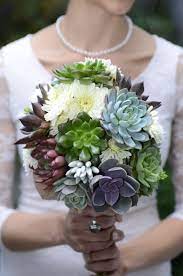 You may have noticed that succulents have become a popular they can be used in many of your wedding day details. Succulent Bouquet Why To Choose Them Succulents Plants
