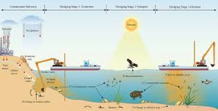Check spelling or type a new query. Atlantic City Replenishment Dredging Builds Beaches But Kills Fishing Acprimetime