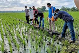 Ada banyak istilah tentang pertanian lahan kering yaitu salah satunya pertanian darat, tegalan, ladang, tadah hujan dan huma. Polres Ngawi Archives Nesiatimes Com