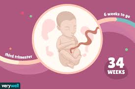 Александр петров, виктор добронравов, ирина старшенбаум и др. 34 Weeks Pregnant Baby Development Symptoms And More