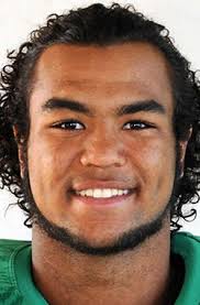 2015 Tribune All-Area football team highlights outstanding individual  performances