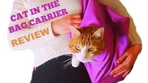 Bl_ bl_ adjustable dog cat pet grooming table arm bath restraint rope harness no. Does The Cat In The Bag Carrier Work My Cats Review Youtube