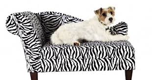Kids And Pets Homegoods Dog Sofa Sleeping Dogs Pet Furniture