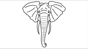 Big Elephant Head Face Draw Drawing Of Elephant How To Draw Animals Youtube