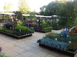 Squires Garden Centre Twickenham Garden Nursery Garden Center Displays Garden Center