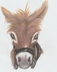 Ames provides lots of books on how to draw animals easily. Donkey Colored Pencil Drawing Amanda Mae Leppke Drawings Illustration Animals Birds Fish Farm Animals Donkey Mule Artpal