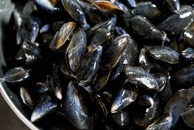 Preparer Les Moules Laver Gratter Et Trier Les Moules Technique Culinaire Recette Par Chef Simon Recette Moules Marinieres Moules Frites Fraiches
