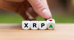 I will present data on the distribution of xrp ownership. Ripple Xrp Price Discovers Gravity Exists Another 40 Drop Possible