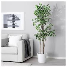 Fejka Artificial Potted Plant Weeping Fig 8 21 Cm Ikea Artificial Plants Decor Artificial Garden Plants Cheap Artificial Plants