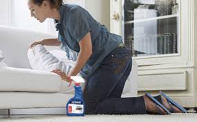 How to get rid of fleas on couch naturally. How To Prevent Fleas In Your Home