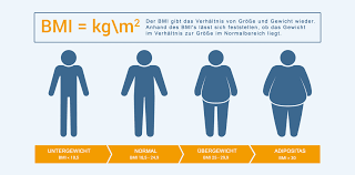 Hướng dẫn cách tính chỉ số BMI của cơ thể chuẩn xác | Cleanipedia VN