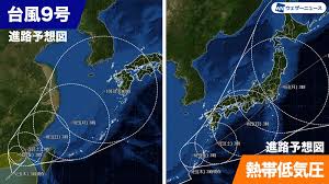 アメリカ米軍による台風警戒センター(jtwc)によると、 太平洋上に「台風8号」(たまごから発達)があると発表 され、日本の 気象庁からも正式に台風8号 と発表され 進路も公開 されました。. D66ktaubf8 Unm