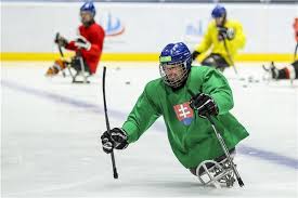 Mistrovství světa v para hokej (2014/2015) realizační tým. Parahokej Slovaci V Ramci Pripravy Na Ms Testuju Sposobilost Zs O Nepelu Pre Medzinarodne Akcie Hockeyslovakia Sk Oficialny Web Slovenskeho Hokeja