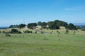 Stanford dish loop trail is a 3.7 mile heavily trafficked loop trail located near stanford, california that offers scenic views and is rated as moderate. Stanford Dish Loop Hiking Trail Stanford California