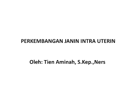 Pihak pengurusan cobay telah mengatakan yang mereka tidak tahu menahu. Perkembangan Janin Intra Uterin Oleh Tien Aminah S Kep Ners Ppt Download