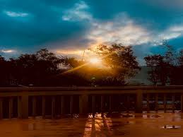 We did not find results for: Good Morning Friends Dharmendra Deol Treats Fans To Mesmerising View Of Rising Sun English Lokmat Com