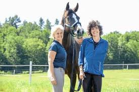 We would like to show you a description here but the site won't allow us. Para Reiten So Reitet Katrin Huber Mit Nur Einem Arm Cavallo De