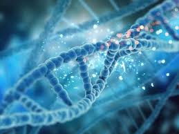 Find the best free stock images about science. Life Science Camfil