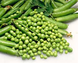 Image result for Pisum sativum