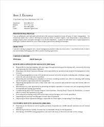 Show how you can benefit your future employers and don't forget to highlight your. Sales Manager Resume Template 7 Free Word Pdf Documents Download Free Premium Templates