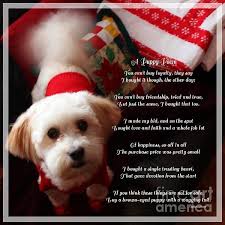 A Puppy Poem And A Puppy Dressed For Christmas By Barbara Griffin Christmas Poems Puppy Dress Christmas Photograph